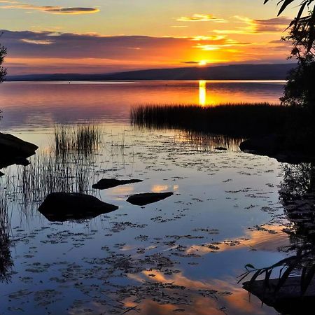 Shannonside - Stylish 5 Bed Marina Home & 40Ft Mooring Termonbarry Екстериор снимка